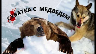 ВЕСЕННЯЯ ОХОТА НА МЕДВЕДЯ