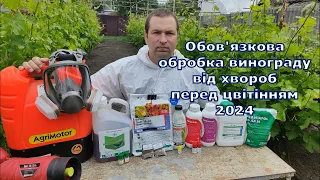 Обробка винограду від хвороб перед цвітінням 2024