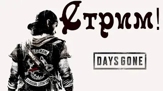 Почти все зомби уничтожены) Days Gone) присоединяйся)#Нубяра#SJIavik