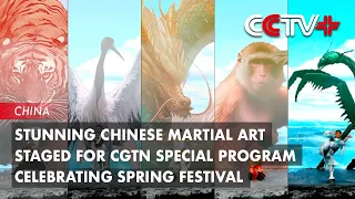 Stunning Chinese Martial Art Staged for CGTN Special Program Celebrating Spring Festival