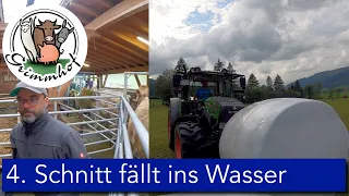 FarmVLOG#83 - Der 4. Schnitt fällt voll ins Wasser 😓