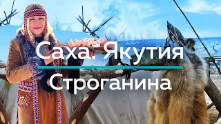 САХА - ЯКУТИЯ - Готовим строганину и Праздник Оленеводов 2020!  / "А как там у них?" c Еленой Кукеле