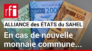 AES - Une dévaluation du F CFA est-elle à craindre ? • RFI