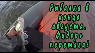 Рыбалка в конце августа 2019. Ловлю белую рыбу на фидер и хищника на перетягу.