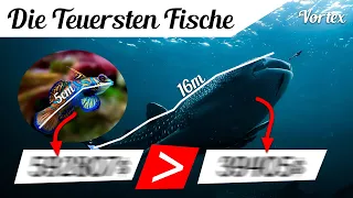 DIE 10 TEUERSTEN FISCHE der Welt!