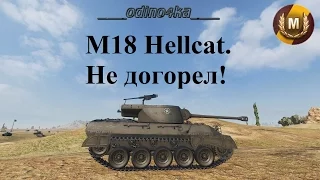 M18 Hellcat. Not burnt out! Master!