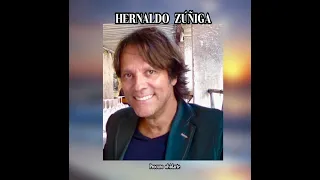 HERNALDO  ZÚÑIGA - PROCURO  OLVIDARTE  (LETRA)