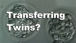 Transferring Two Embryos FET (Whole Procedure) - Wheeler IVF Journey