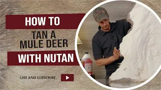 Mule Deer Tan Using NuTan