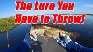 You HAVE to Throw THIS LURE in Early Summer!!