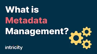 What is Metadata Management?