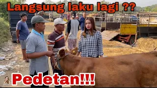 DEK YAYA !! KALI INI DEK YAYA BAWA PEDETAN KE PASAR !!!