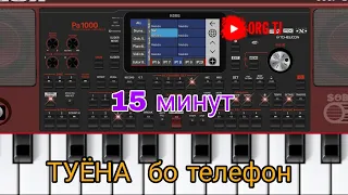 15 Минут "ТУЁНА" бо телефон 😱😱org2024 #korg #org2024 #tuyona #туёна #втренде