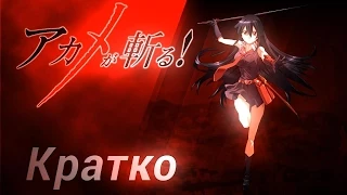 Кратко об Akame Ga Kill (Убийца Акаме) [Пилот]