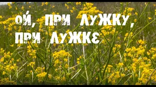 Ой при лужку (cover)