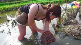 Beautiful Young Woman Catching Fish With Bamboo Cage And Cooking Spicy Fish