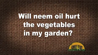 Q&A – Will neem oil hurt the vegetables in my garden?