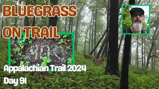 Appalachian Trail Thru Hike Day 91