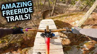 These Old Freeride Trails are still SOOO MUCH FUN!!