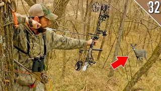 BOW HUNTING a SMALL Public Land Area!! - (November DEER Hunting)