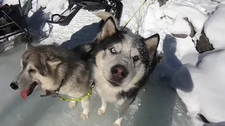 Аккемский прорыв  Белуха 2019