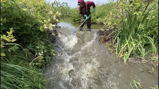 Beaver Dam Removal || Draining Long Channel.