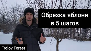 Обрезка яблони 🍎 весной (зимой)в 5 шагов