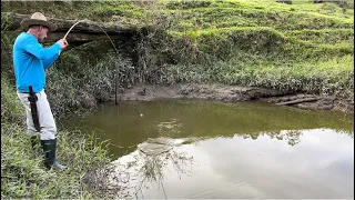 Fui subindo rio acima e encontrei os bigodes e as tilápias, pescaria com muito peixe!!!