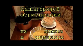 Юрий Кривобок Каша горячей ферментации из пшена и пшеницы