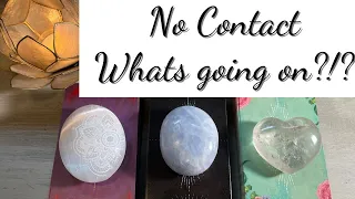 ✨💗No Contact.. Whats going on🧐🤔 Pick A Card (Timeless) Relationship Soulmate Psychic Tarot Reading