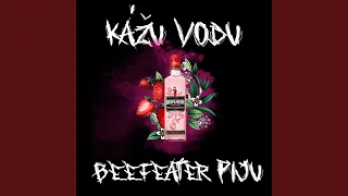 Kážu vodu a Beefeater piju