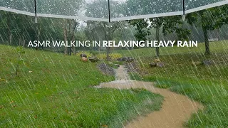 4K ASMR RELAXING WALK in HEAVY RAIN & THUNDERSTORM. Gloomy weather, Komodo Dragon, sleep therapy