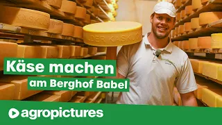Käse machen am Berghof Babel im Allgäu
