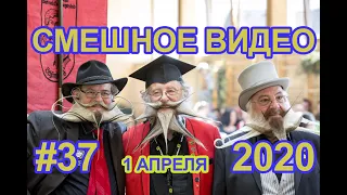 #СМЕШНОЕВИДЕО2020 #37 #лучшиеприколы2020 #подборкаприколов2020 #coub #киноприколы #любительскоевидео