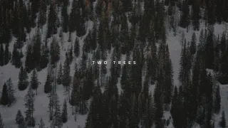 Ludovico Einaudi - Two Trees // (slowed + reverb)