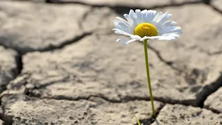 Building Personal Resilience: Managing Anxiety and Mental Health