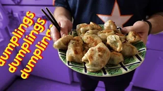 Dumplings With Homemade Seitan (by Ffej)