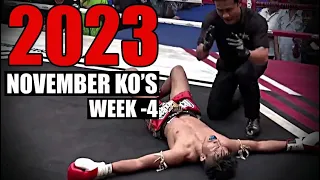 MMA & Boxing Knockouts I November 2023 Week 4