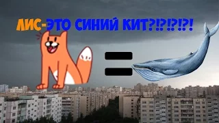 ЛИС - ЭТО СИНИЙ КИТ ?!?! ЛИС ЭТО КУРАТОР !!?!?!