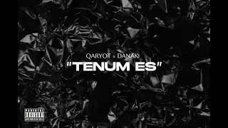 47 x DANAK - TENUM ES / 21 +