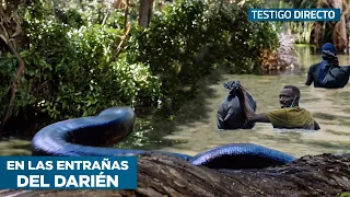 La Selva del Darién 2022: Esta Es La Realidad Que Los Medios NO Te Mostrarán - Testigo Directo