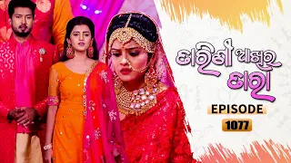 Tarini Akhira Tara | Full Ep 1077 | 3rd Sep 2021 | Odia Serial – TarangTV