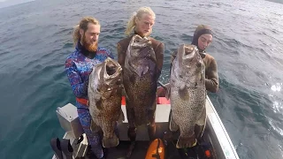 southern treats spearfishing