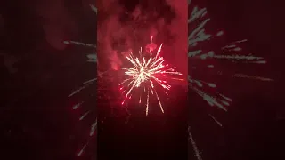 Corona killer 318 shot firework