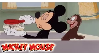 Micky Maus Kicherkracher - Kurzfilm: Micky und der Seehund | Disney Channel