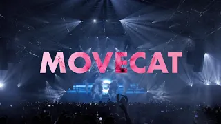 Movecat Spotlight