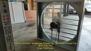 Poultry Farm Fan, Farm Exhaust Fan, Greenhouse Exhaust Fan - Direct Drive  ( Made in Taiwan )