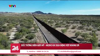 Bức tường biên giới Mỹ - Mexico đe dọa động vật hoang dã | VTV24