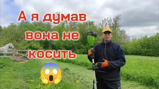 Кошу люцерну акумуляторним тримером ProCraft PTA 20/2