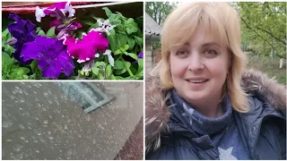 ЖИЗНЬ В ХАРЬКОВЕ‼️ ПЫЛЬНЫЙ ДОЖДЬ ☔️ ЯЩИК ЦВЕТОВ💐 ЧТО НУЖНО ДЛЯ СЧАСТЬЯ🤗